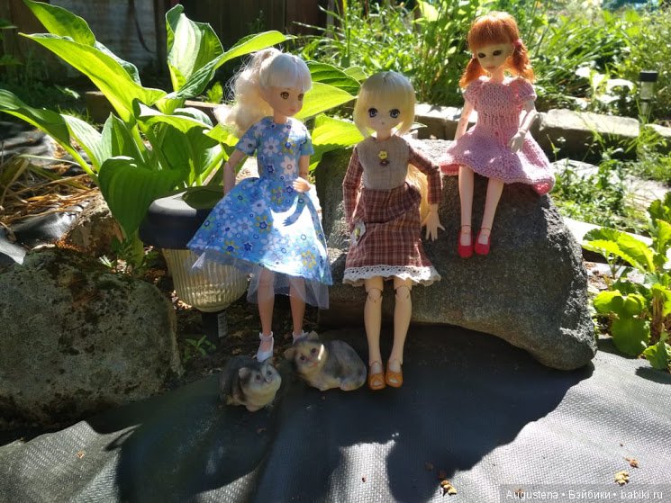 Дачницы — Болталка и разговоры обо всем: жизнь