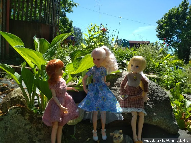 Дачницы — Болталка и разговоры обо всем: жизнь