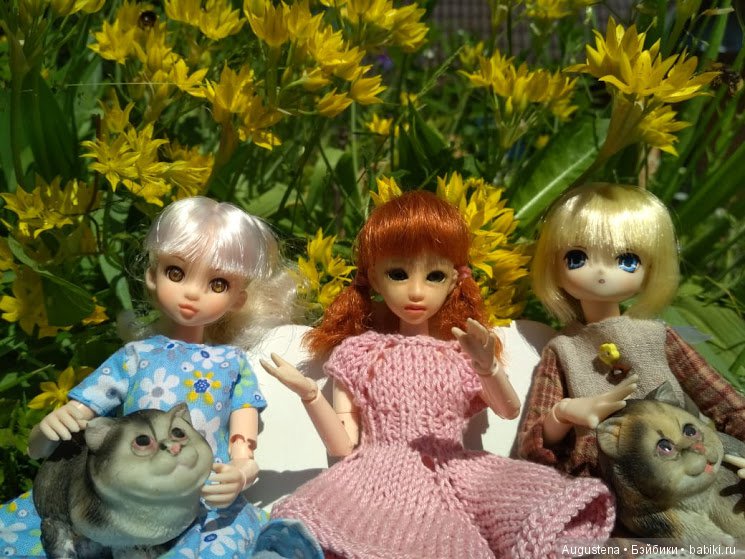 Дачницы — Болталка и разговоры обо всем: жизнь (фото 3)