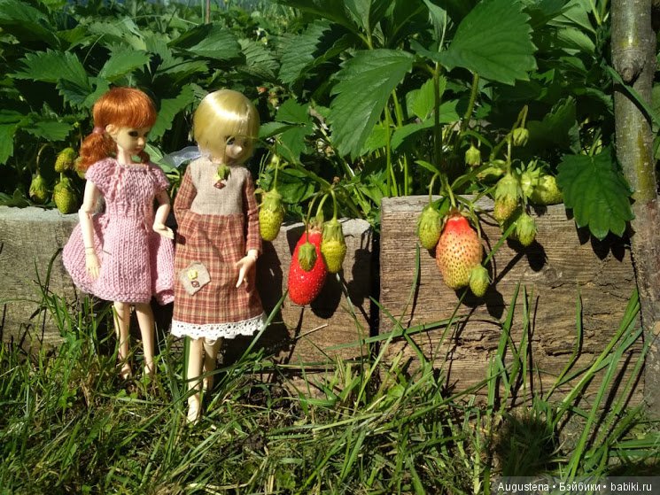 Дачницы — Болталка и разговоры обо всем: жизнь (фото 5)