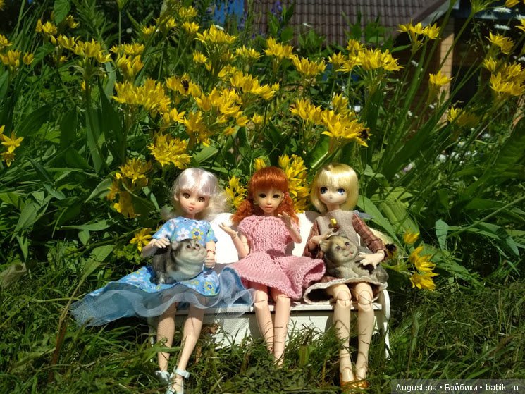 Дачницы — Болталка и разговоры обо всем: жизнь