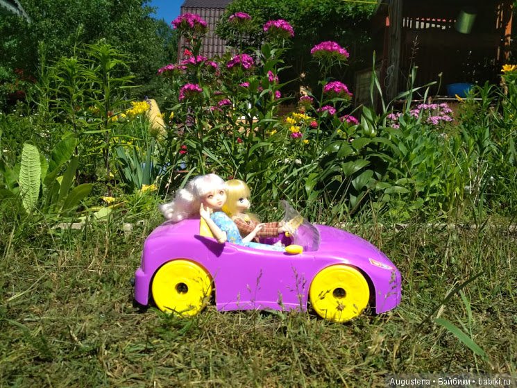 Дачницы — Болталка и разговоры обо всем: жизнь