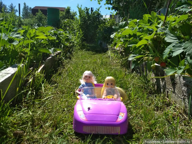 Дачницы — Болталка и разговоры обо всем: жизнь