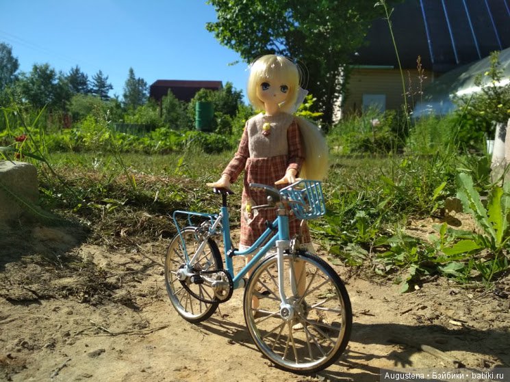 Дачницы — Болталка и разговоры обо всем: жизнь (фото 6)