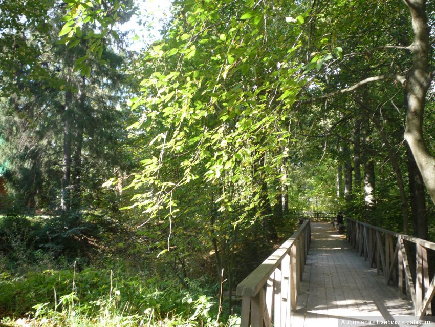 Футы-нуты или Флёр в Абрамцево