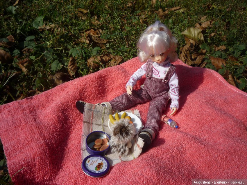 Рори и Августин на сентябрьском пикнике (фото 3)