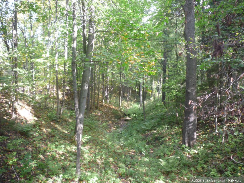 Футы-нуты или Флёр в Абрамцево