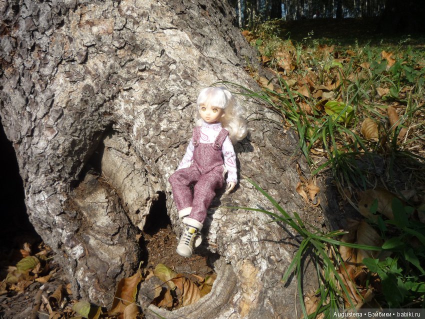 Рори и Августин на сентябрьском пикнике (фото 8)