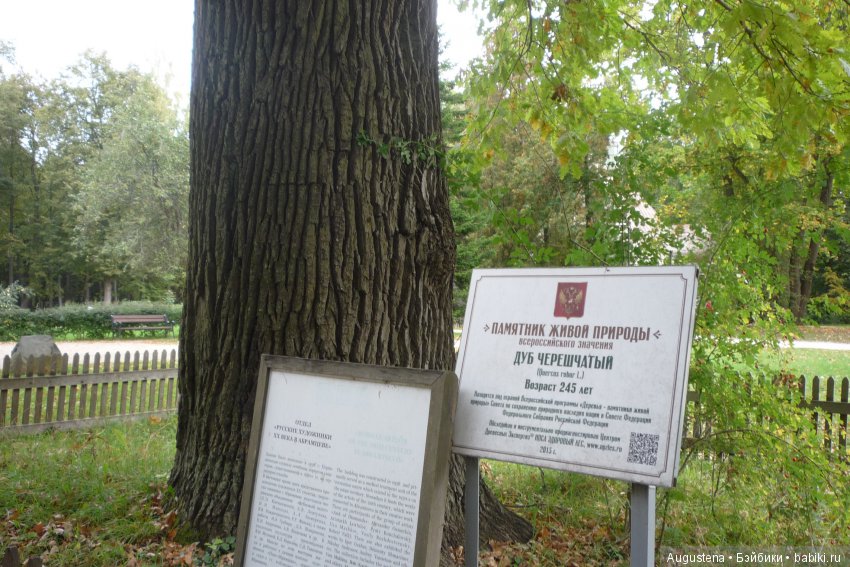 Футы-нуты или Флёр в Абрамцево (фото 3)