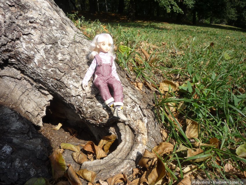 Рори и Августин на сентябрьском пикнике (фото 9)