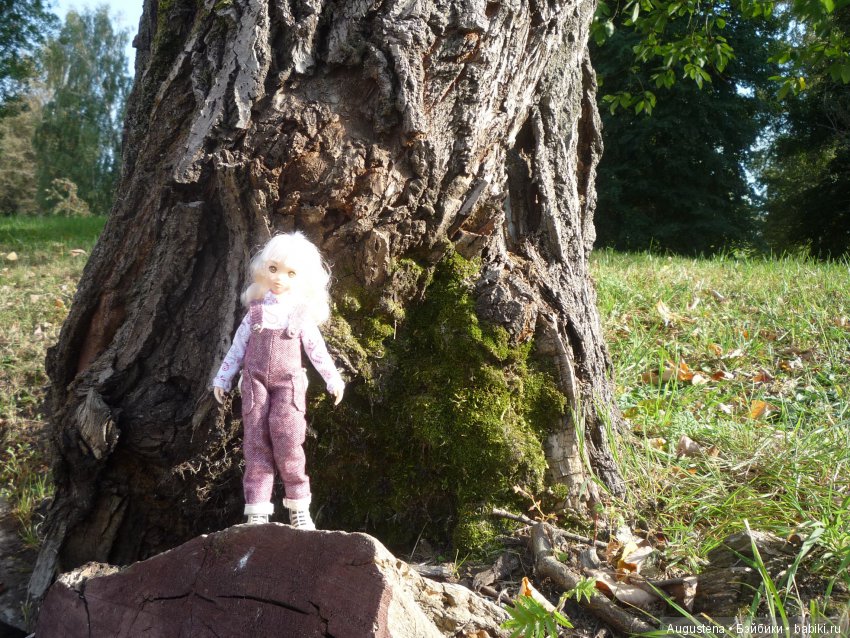 Рори и Августин на сентябрьском пикнике