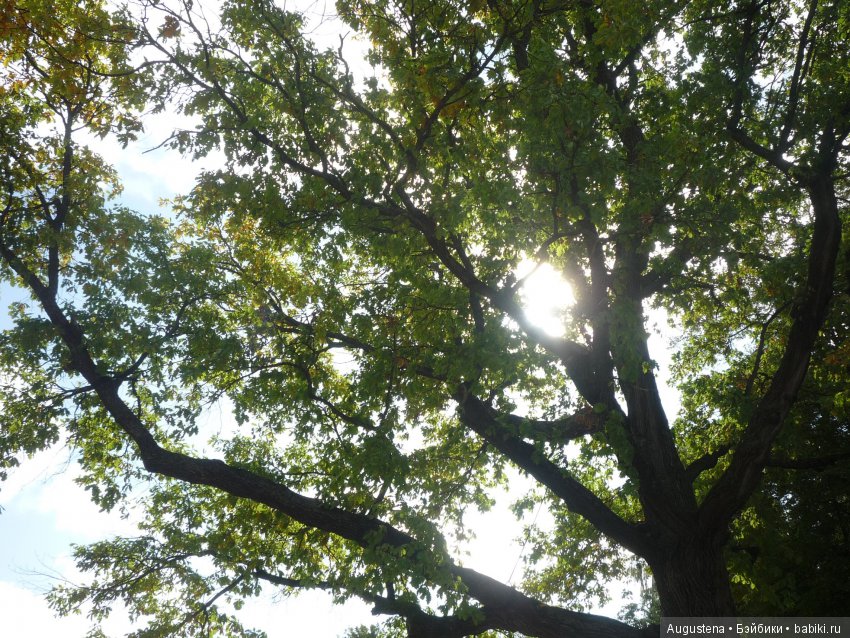 Футы-нуты или Флёр в Абрамцево