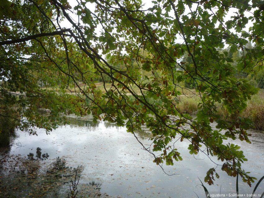 Футы-нуты или Флёр в Абрамцево