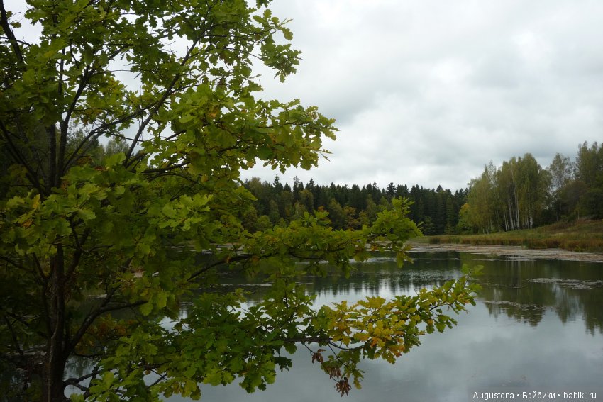 Футы-нуты или Флёр в Абрамцево