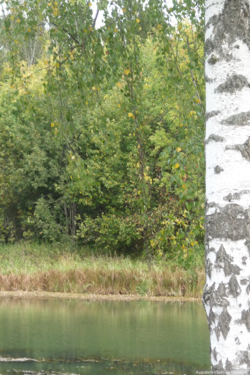 Футы-нуты или Флёр в Абрамцево