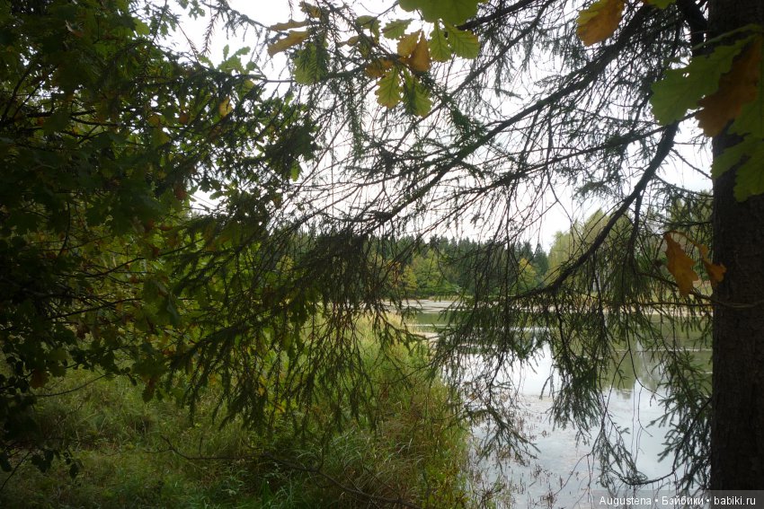 Футы-нуты или Флёр в Абрамцево