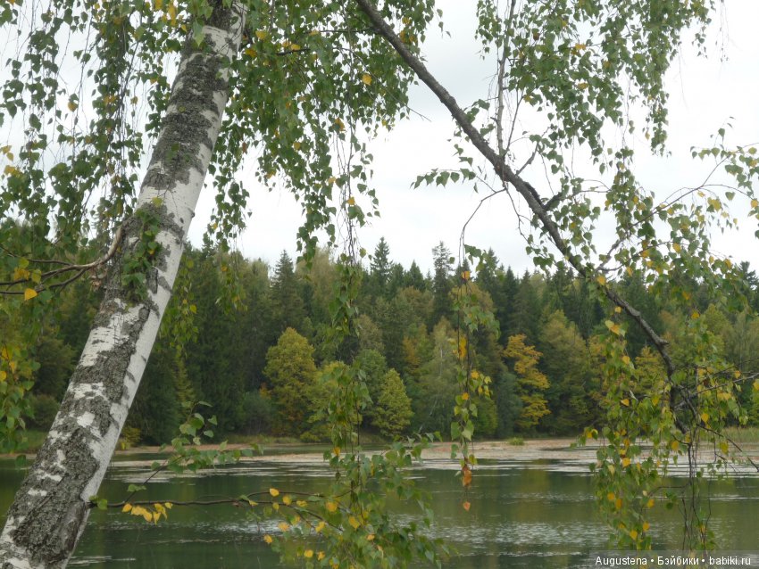 Футы-нуты или Флёр в Абрамцево