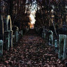 Подарок из детства