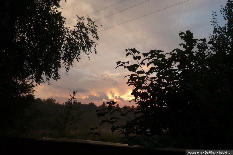 Малышастики на подмосковной даче