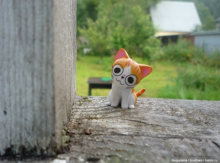 Малышастики на подмосковной даче (фото 5)