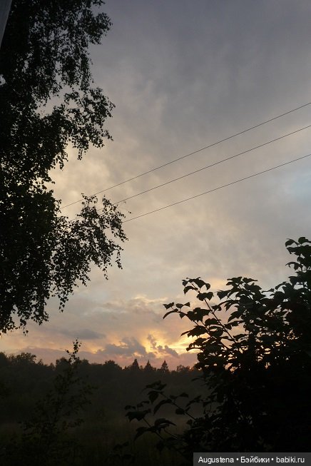 Малышастики на подмосковной даче