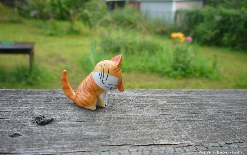 Малышастики на подмосковной даче (фото 7)