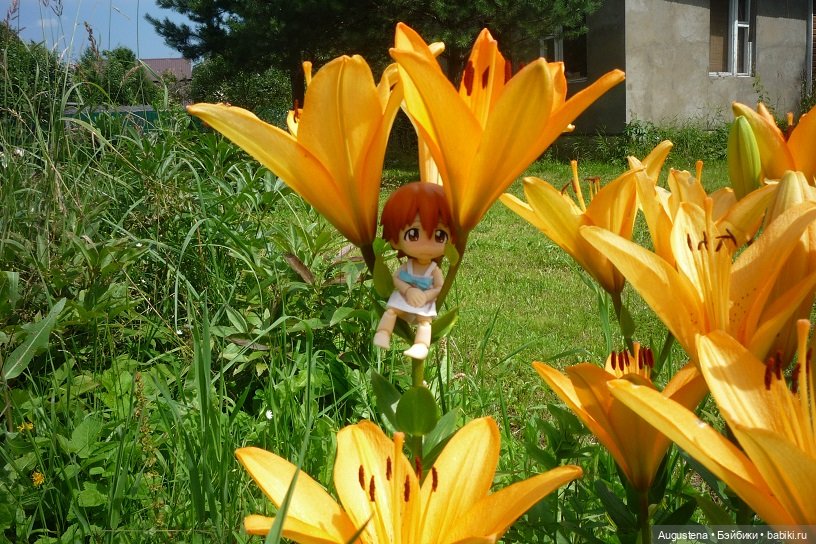 Малышастики на подмосковной даче