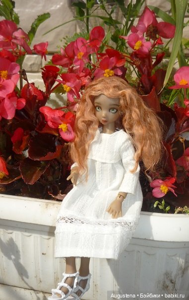 Котя на подмосковной даче (фото 3)