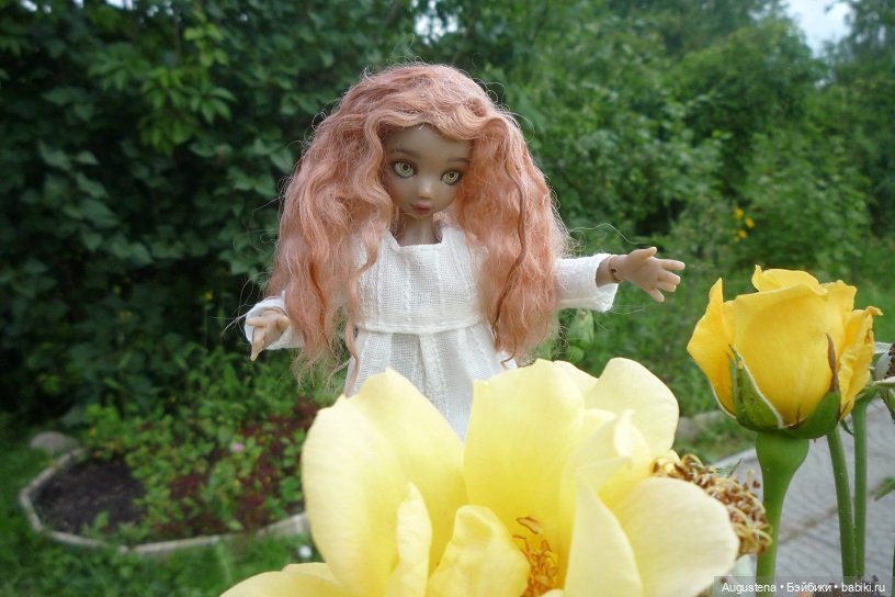 Котя на подмосковной даче (фото 4)