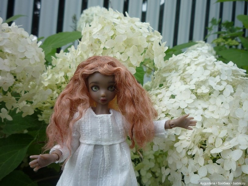 Котя на подмосковной даче (фото 5)