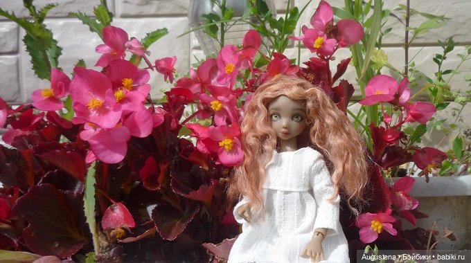 Котя на подмосковной даче (фото 2)