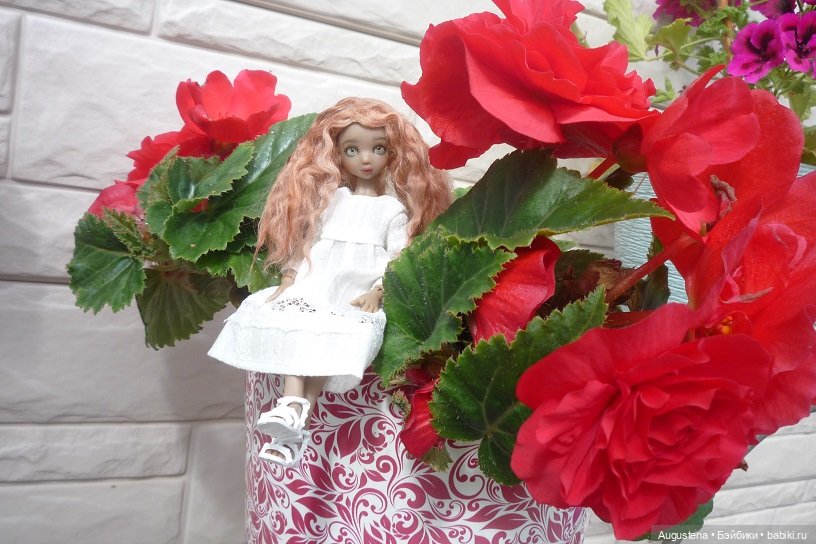 Котя на подмосковной даче