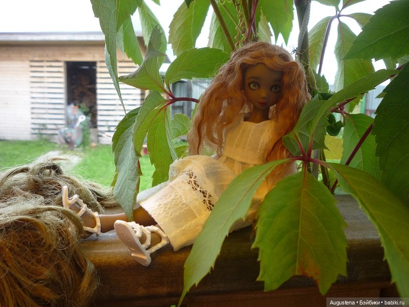 Котя на подмосковной даче (фото 8)