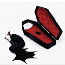 Мртвачки сандук, труна , домовина или попросту гроб