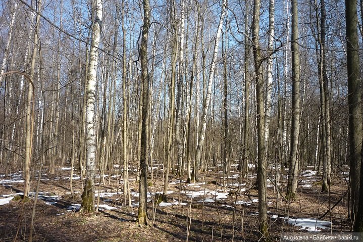 Измайловский парк 10.04.21 Малышка Лёля