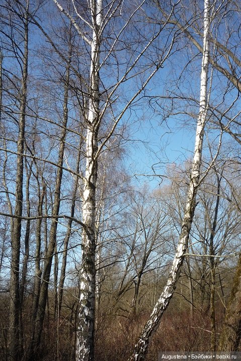 Измайловский парк 10.04.21 Малышка Лёля