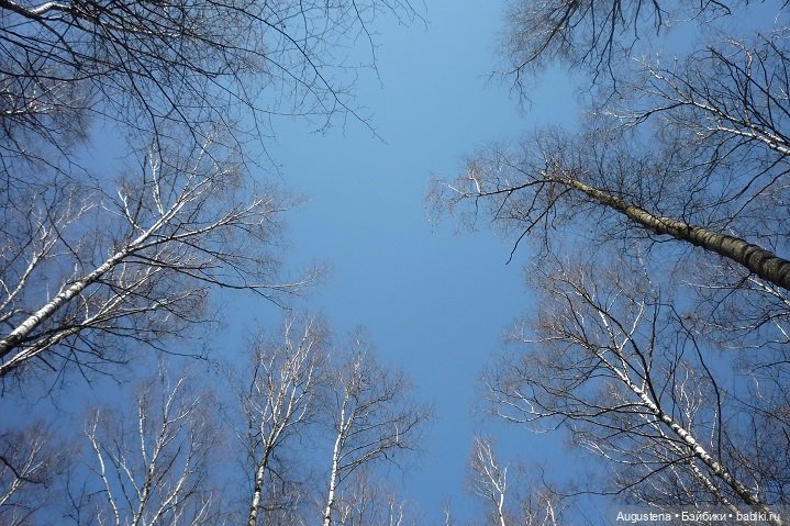 Измайловский парк 10.04.21 Малышка Лёля (фото 2)