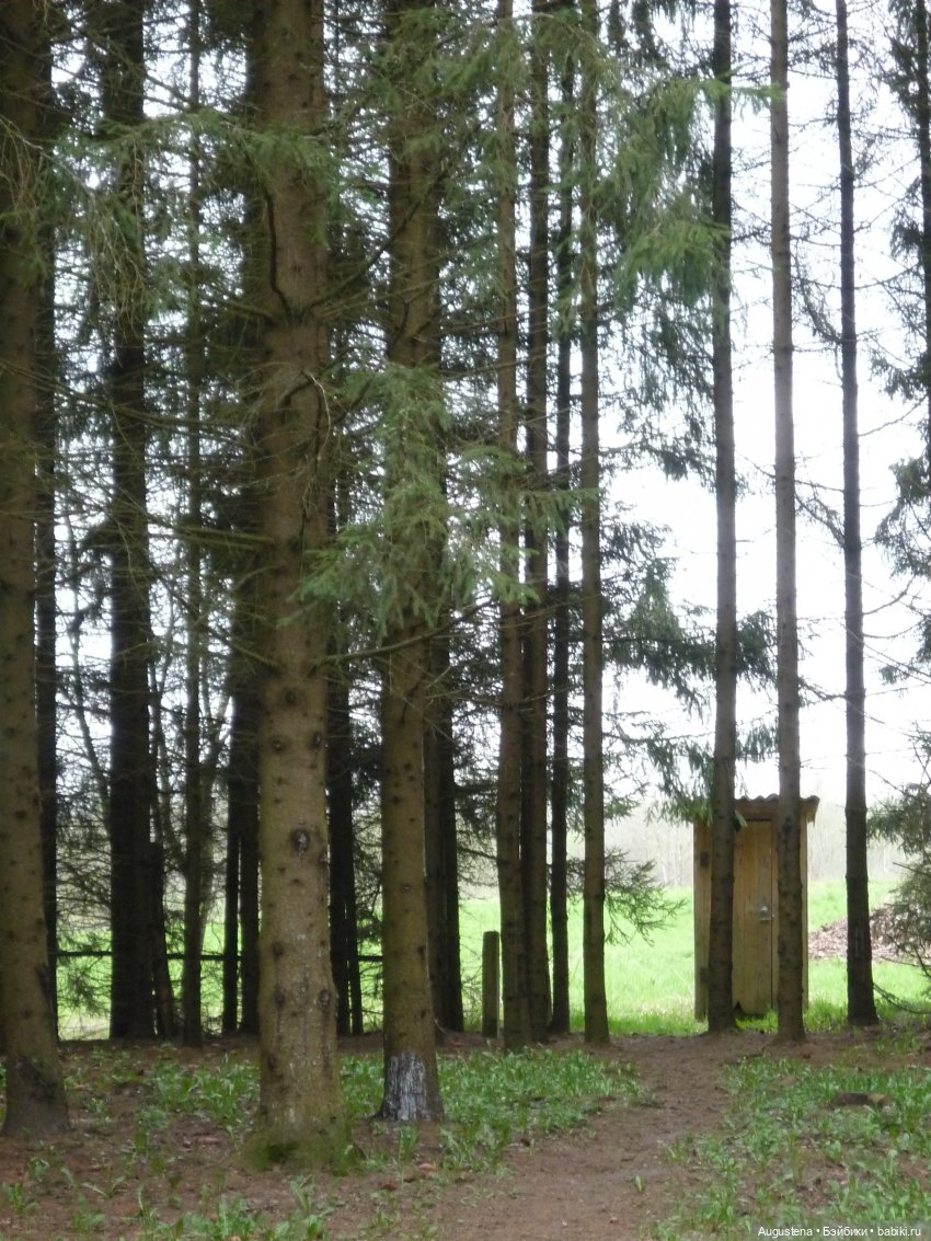 Как я ездила Щит Родины смотреть. День 3-й (фото 2)