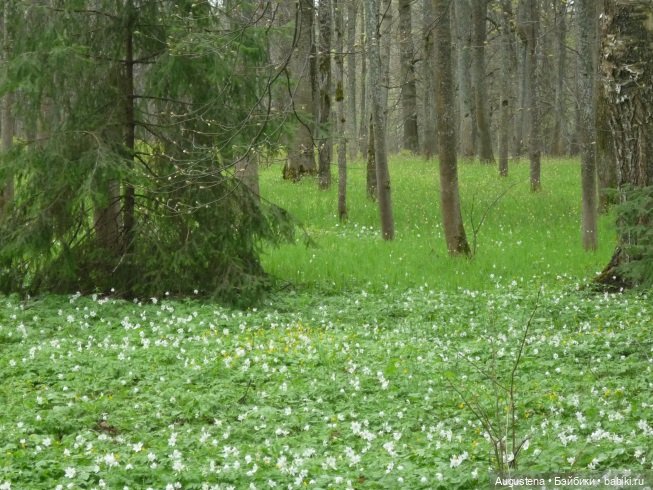 Как я ездила Щит Родины смотреть. День 3-й
