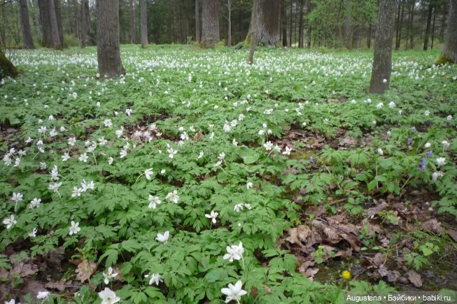 Как я ездила Щит Родины смотреть. День 3-й