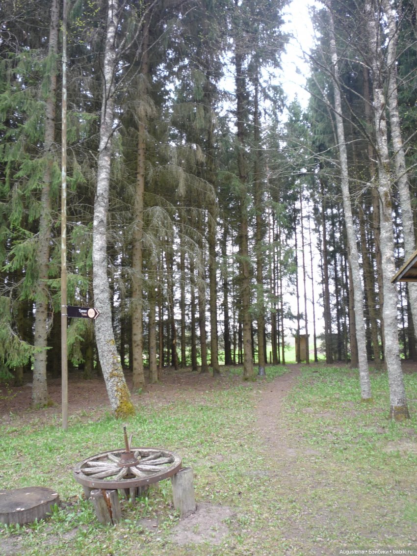 Как я ездила Щит Родины смотреть. День 3-й