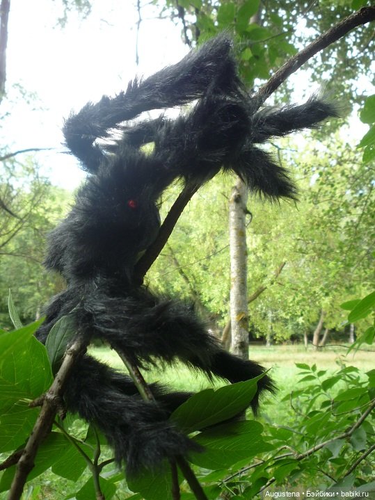 Четверо сямочек и Павук. Экспромт