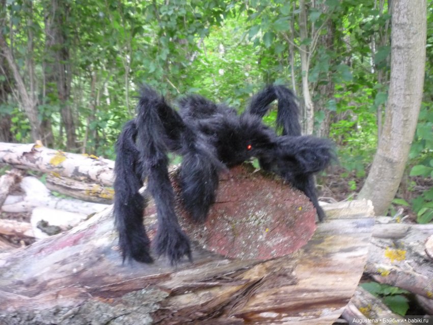 Четверо сямочек и Павук. Экспромт