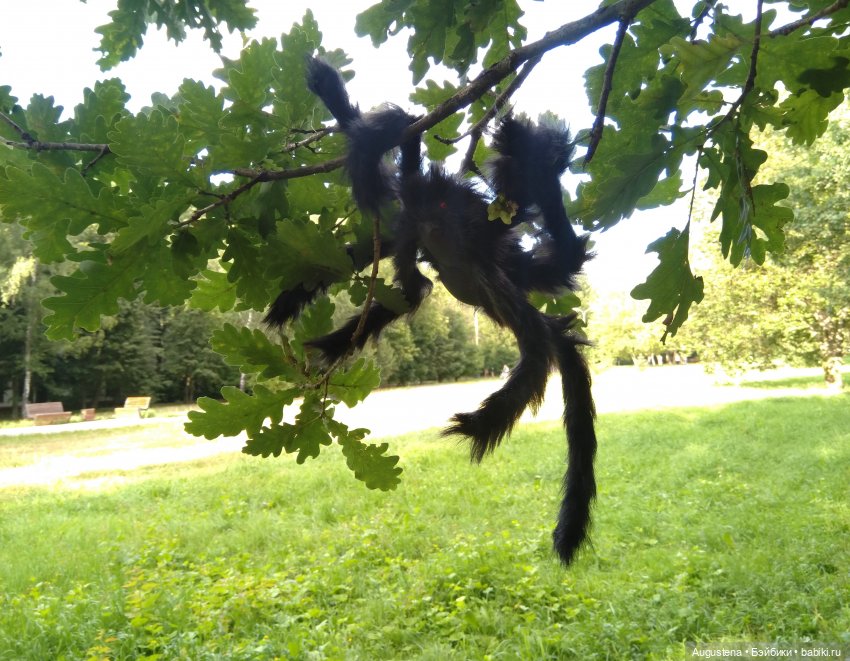 Четверо сямочек и Павук. Экспромт (фото 2)