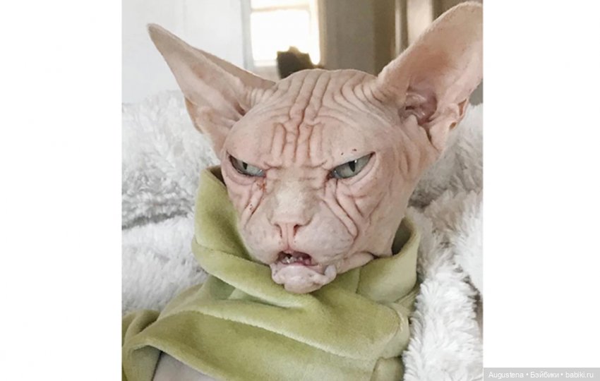 Лубоф-ф или всё-таки Любовь (фото 8)