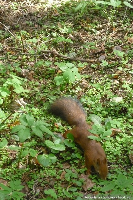 Прогулка в усадьбе Остафьево