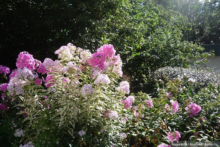 Прогулка в усадьбе Остафьево