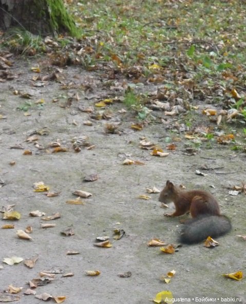 Прогулка в усадьбе Остафьево