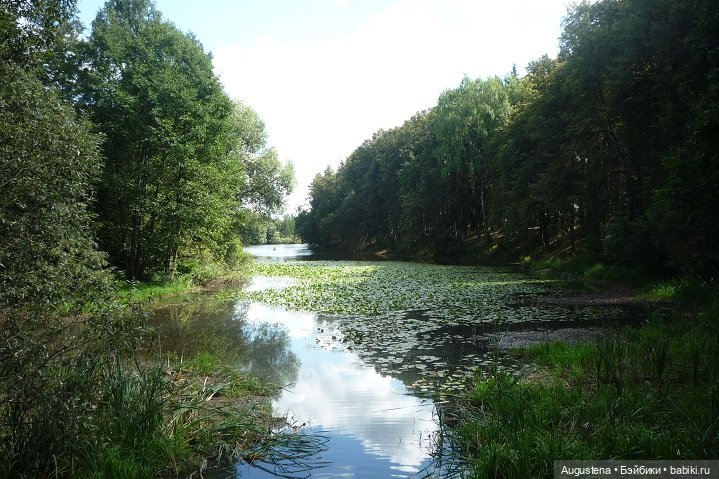 Прогулка в усадьбе Остафьево (фото 9)