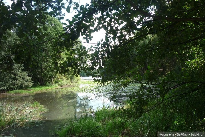 Прогулка в усадьбе Остафьево (фото 8)